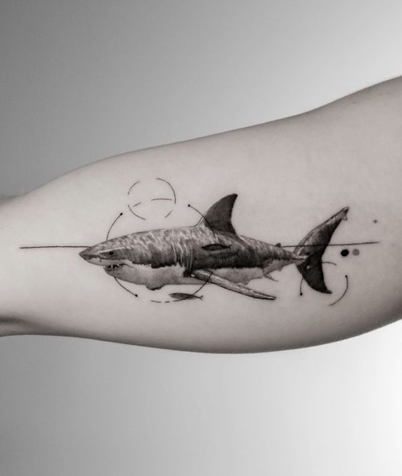 Tatuajes de Tiburón Blanco