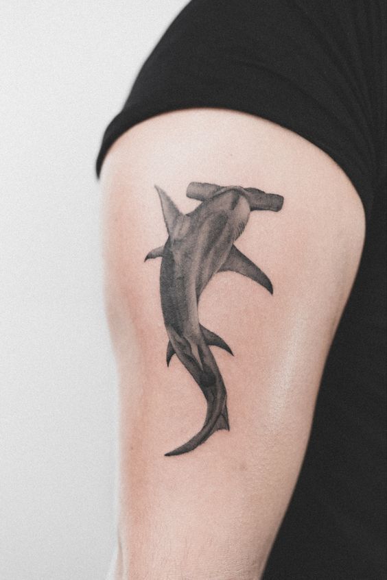 Tatuajes de Tiburón Martillo