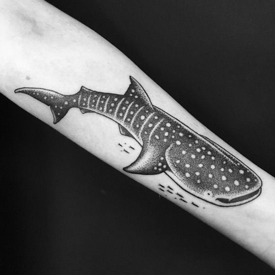 Tatuajes de Tiburón Ballena