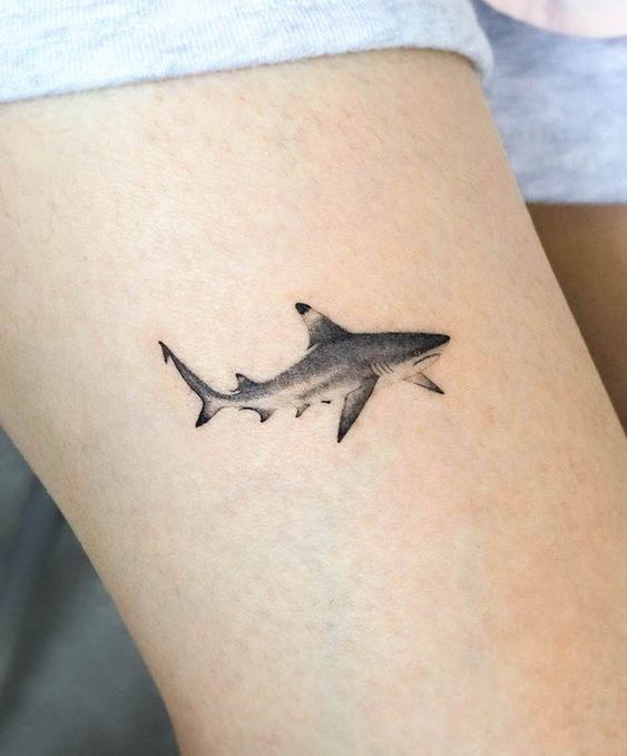 Tatuajes de Tiburones Pequeños