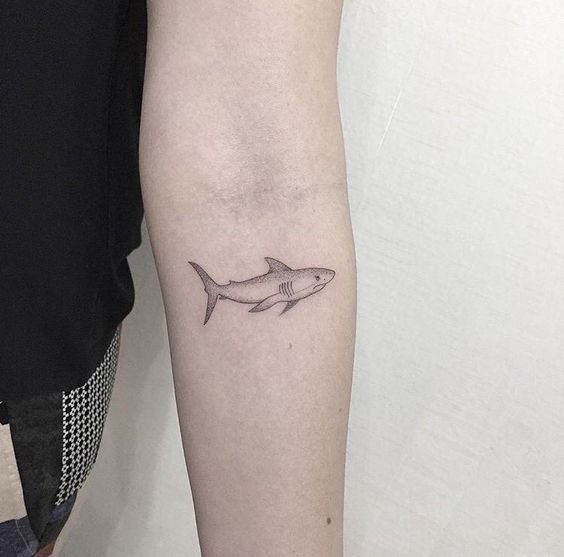 Tatuajes de Tiburones Pequeños