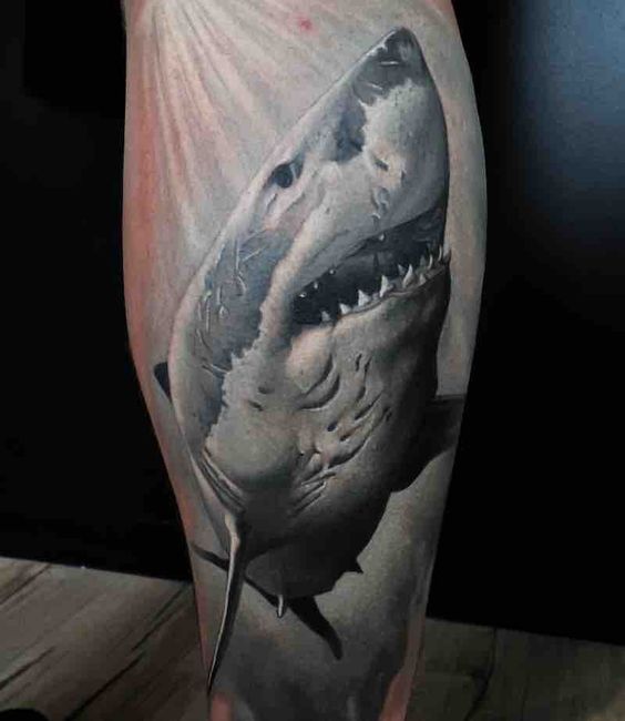 Tatuajes de Tiburones Grandes