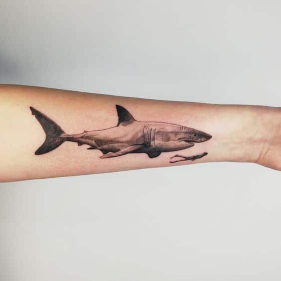 Tatuajes de Tiburón Blanco