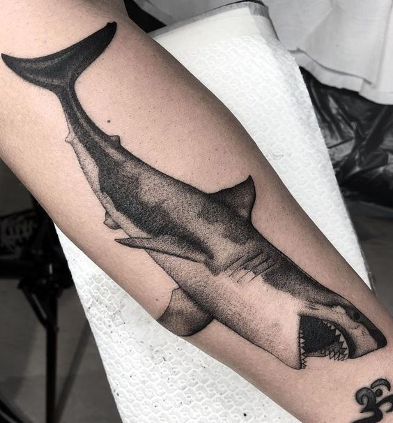 Tatuajes de Tiburones Grandes