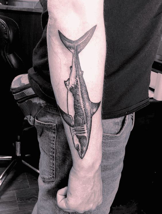 Tatuajes de Tiburones en el Antebrazo