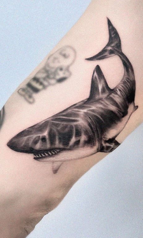 Tatuajes de Tiburón Blanco