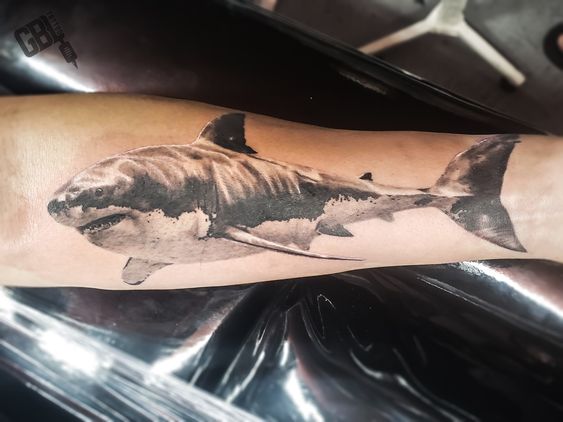 Tatuajes de Tiburones en el Antebrazo