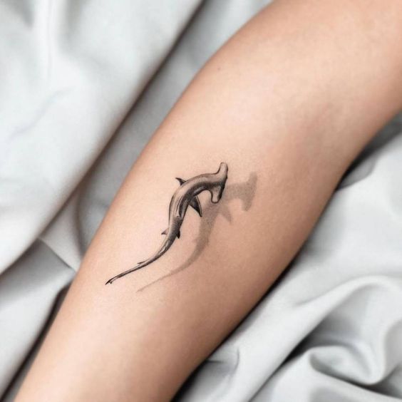 Tatuajes de Tiburón Martillo